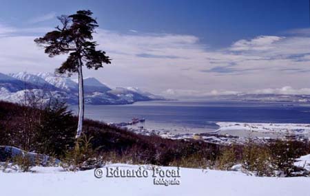 Vista Nevada desde el camino al Glaciar