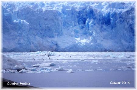 Glaciar-Pio_XI